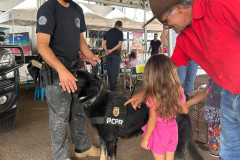 PCPR na Comunidade atende população em Palmas  