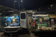 OPERAÇÃO HÓRUS: PCPR apreende 911 quilos de maconha e 1500 munições de fuzil em Santa Helena 