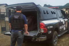 PCPR prende homem suspeito de homicídio em Palmeirinha