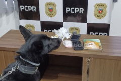 PCPR prende bombeiro militar durante segunda fase de operação em Irati