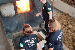 PCPR incinera mais de 3 toneladas de drogas em Iporã