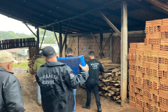 PCPR incinera 200 quilos de maconha em Salto do Lontra