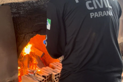 PCPR incinera 200 quilos de maconha em Salto do Lontra