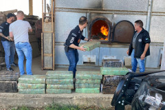 PCPR incinera mais de meia tonelada de drogas em Palmeira 
