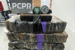 PCPR apreende 121 quilos de maconha e prende homem em Pato Branco