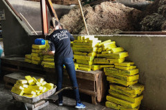 PCPR incinera 300 quilos de drogas em Mandaguari 