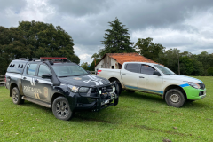 PCPR realiza operação de combate aos maus-tratos de animais em Palmeira