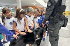 PCPR na Comunidade oferece serviços de polícia judiciária para a população de Tijucas do Sul  