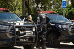 PCPR incinera 400 quilos de drogas em São José dos Pinhais