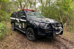 PCPR realiza operação de fiscalização e combate à crimes ambientais em Porto Amazonas e Palmeira 