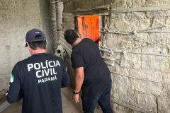 PCPR incinera 600 quilos de drogas em Almirante Tamandaré