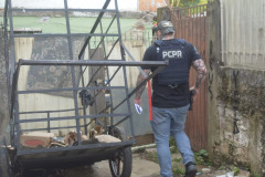 PCPR e PMPR prendem 50 pessoas em ações contra foragidos da justiça em Curitiba