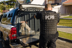 PCPR prende suspeito de furto de fios telefônicos em Colorado