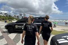 PCPR resgata cachorro em rodovia de Matinhos