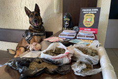 PCPR, PCSC e PMPR prendem dois homens por tráfico de drogas em Pato Branco