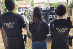 PCPR apreende armas e três mil munições durante ação deflagrada em Araucária