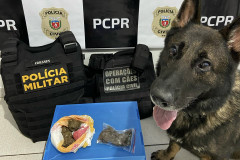 PCPR deflagra operação contra roubos em Realeza