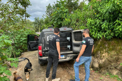PCPR prende três pessoas por falta de pagamento de pensão em Cerro Azul