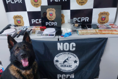 PCPR e PMPR apreendem drogas e prendem homem em São Mateus do Sul 