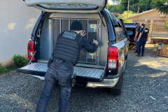 PCPR cumpre buscas em Sabáudia e Arapongas e prende em flagrante homem com fuzil, colete balístico e munições