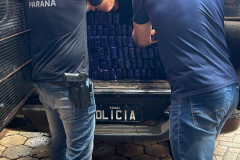 PCPR incinera 1 tonelada de maconha em Cidade Gaúcha