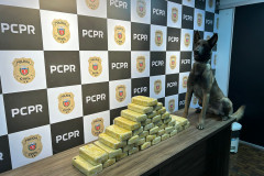 PCPR apreende 41,2 quilos de crack em Ponta Grossa 