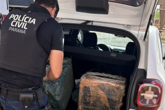 PCPR incinera mais de meia tonelada de drogas em Cidade Gaúcha 