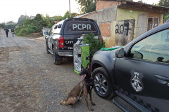 PCPR prende três homens em flagrante por tráfico de drogas em Ponta Grossa
