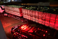 PCPR apreende 6,39 toneladas de cocaína no primeiro semestre, 129% a mais que o mesmo período do ano passado