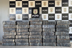 PCPR apreende 614 quilos de maconha em Guaíra