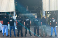 PCPR incinera 16 toneladas de drogas em uma semana em Cascavel