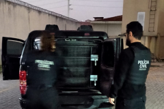 PCPR prende homem por descumprimento de medida protetiva em Fazenda Rio Grande