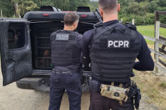 PCPR prende homem por estupro de vulnerável em Irati