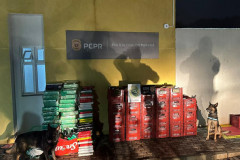 PCPR e PMPR apreendem 1,1 tonelada de maconha durante operação em Cascavel