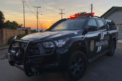 PCPR identifica autor de furto e recupera objetos em Palmeira