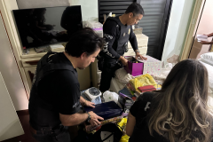 PCPR mira grupo criminoso envolvido em fraudes contra seguradoras, furtos e receptação