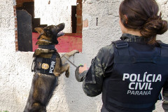 PCPR comemora 13 anos de atuação do Núcleo de Operações com Cães