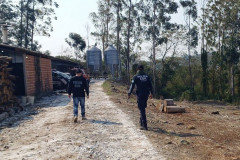 Forças de segurança encontram menino de 2 anos que estava desaparecido em Cambira