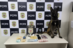 PCPR e GM prendem duas pessoas por tráfico de drogas em Ponta Grossa