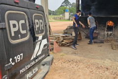 PCPR incinera meia tonelada de drogas em São José dos Pinhais