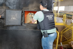 PCPR incinera mais de 300 quilos de drogas em Arapongas