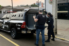 PCPR prende suspeito homem por porte ilegal de arma e munições em São Jorge do Oeste