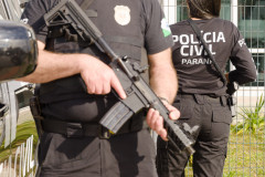 PCPR prende mulher por tráfico de drogas em Pinhais 