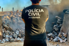 PCPR incinera mais de 3,4 toneladas de drogas em Mandaguaçu 