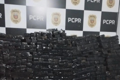 PCPR apreende mais de 363 quilos de maconha e prende homem em flagrante