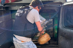 PCPR incinera meia tonelada de maconha em Cidade Gaúcha
