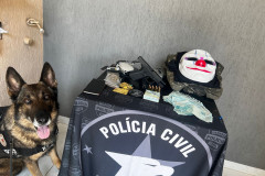 PCPR prende mulher por posse de arma de fogo e bloqueia chácara avaliada em 700 mil reais em Foz do Iguaçu 