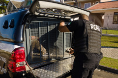 PCPR prende homem condenado por estelionato e organização criminosa em Tapira