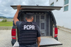 PCPR prende homem por quádruplo homicídio em Curitiba