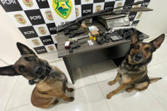 PCPR e PMPR prendem quatro pessoas em flagrante por diversos crimes em Chopinzinho 